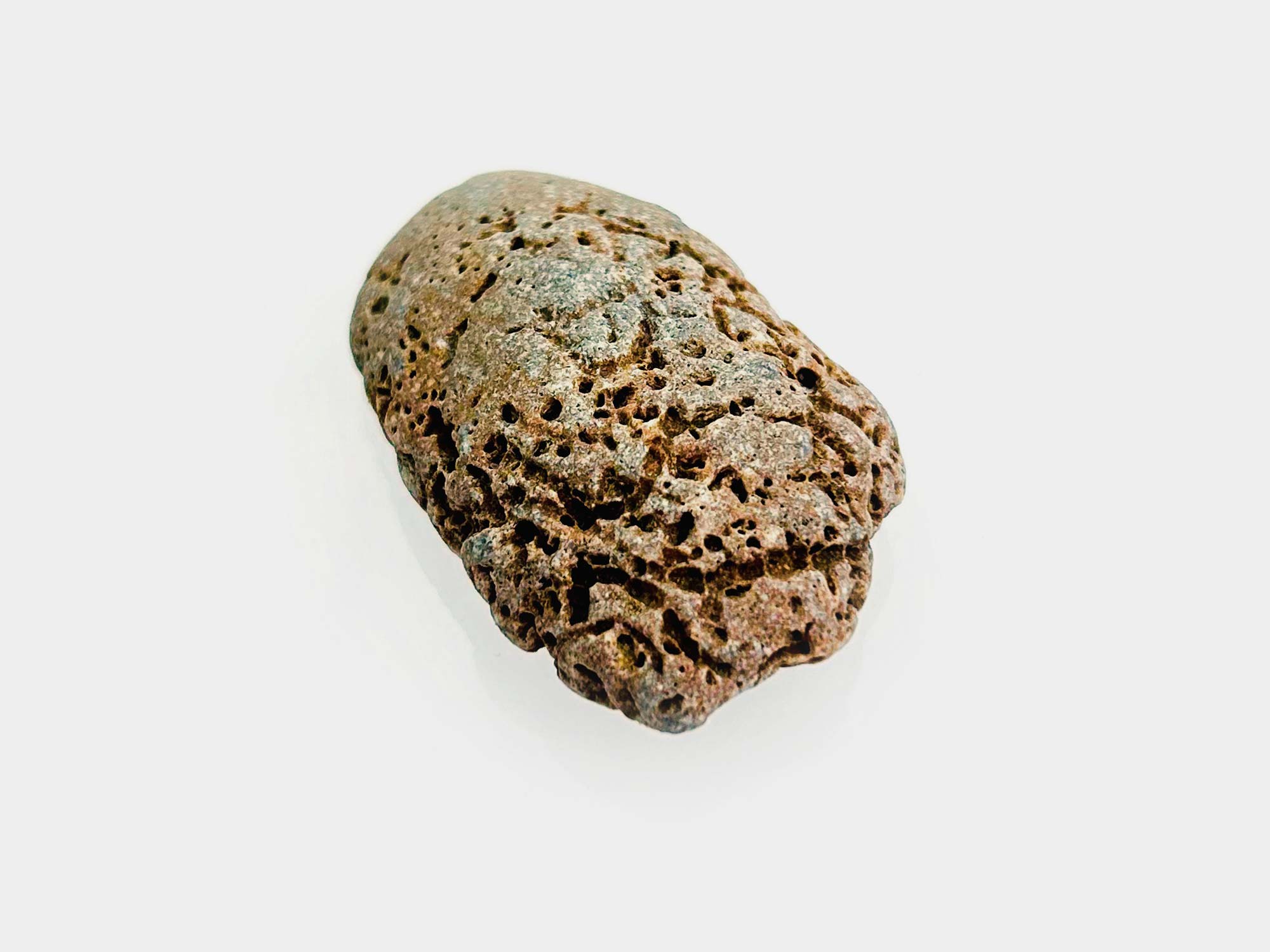 Found on Charmouth beach, Dorset, England. April 2025