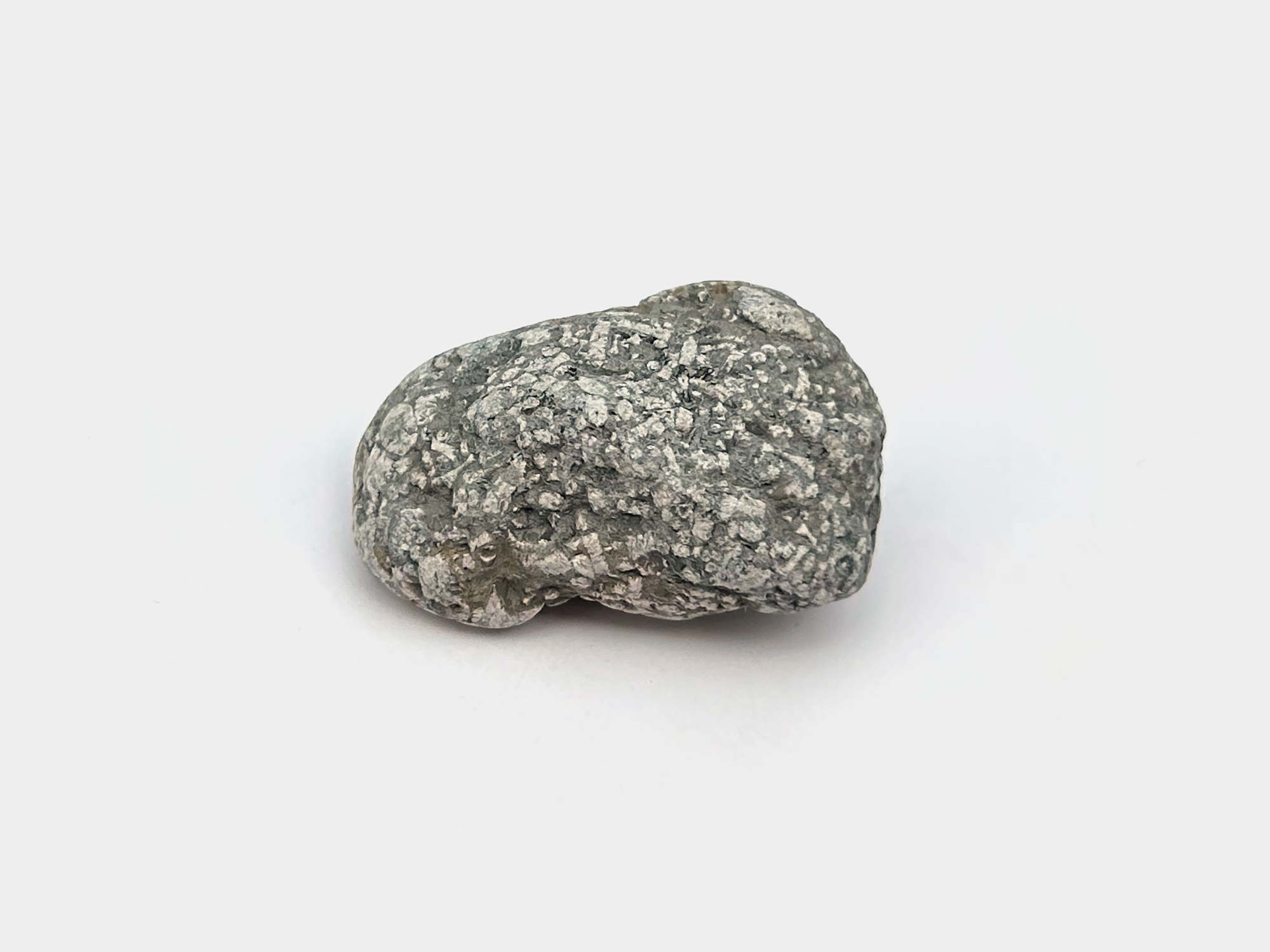 Crinoid stems and fragments in dry mudstone. Found in Dorset, England. August 2024