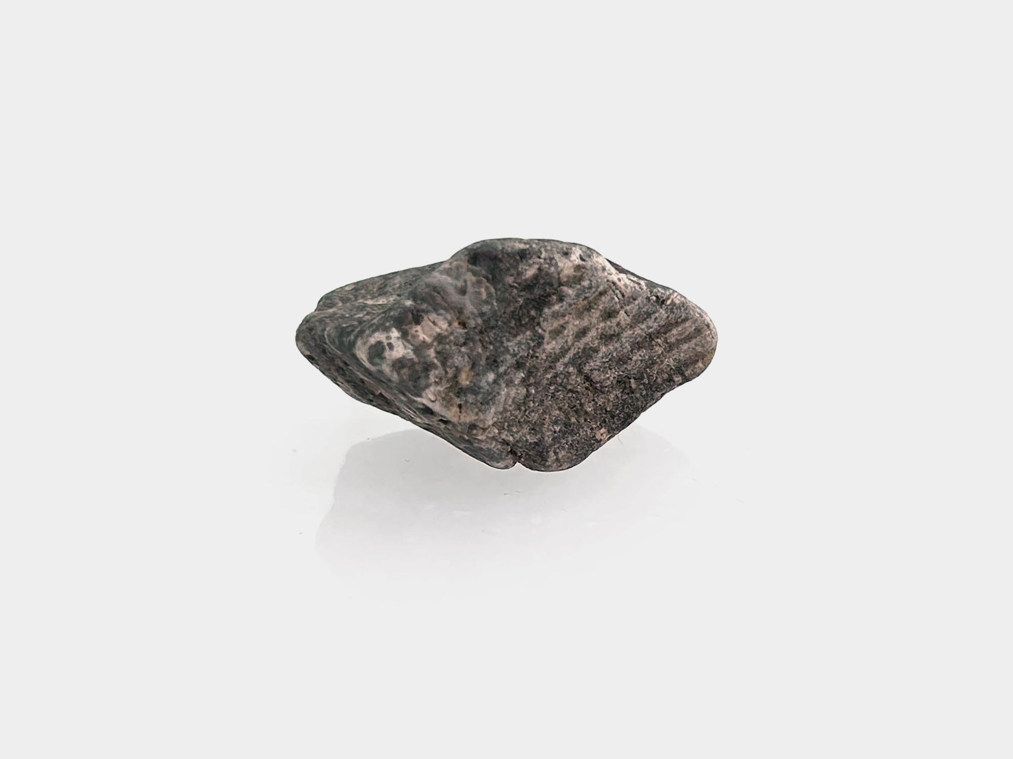 Found on Charmouth beach, Dorset, England. April 2025