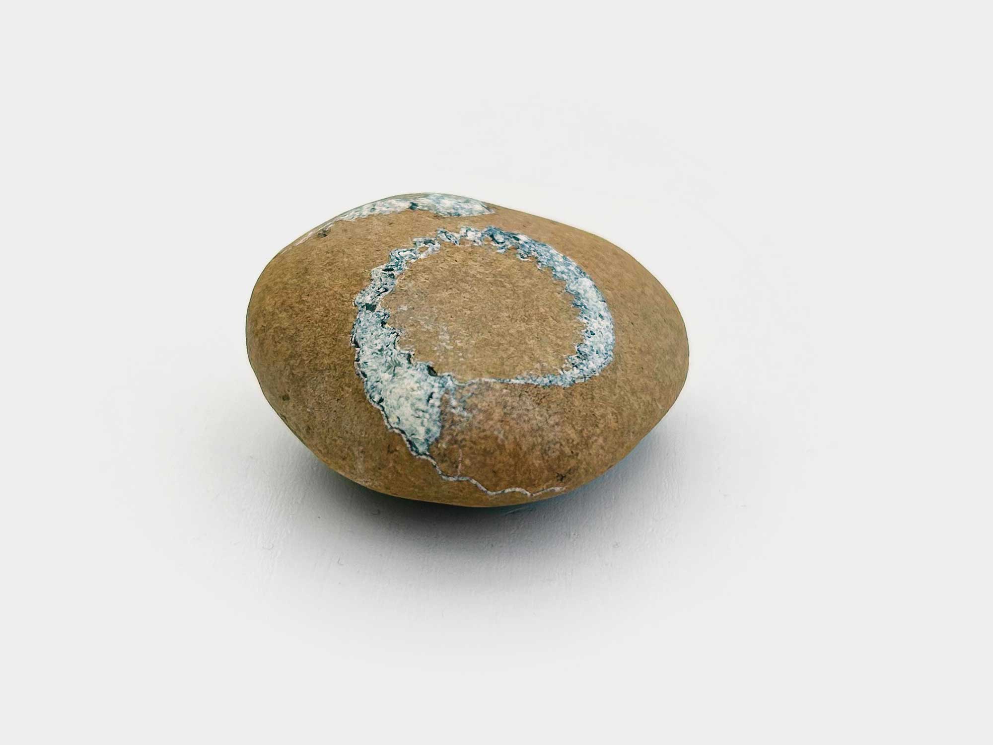 Found on Charmouth beach, Dorset, England. April 2025