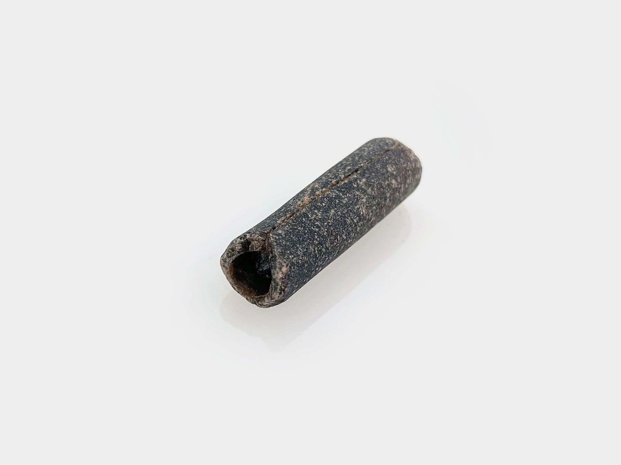 Found on Charmouth beach, Dorset, England. April 2025