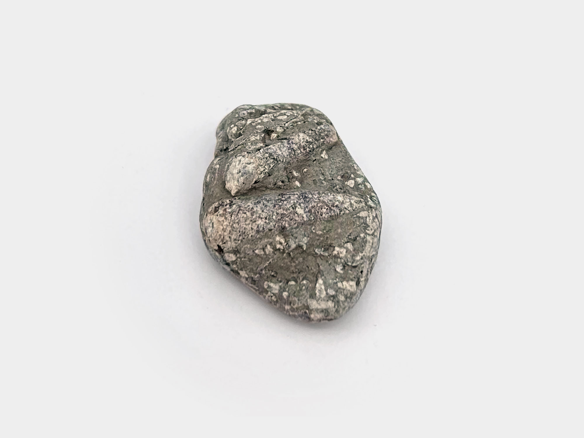 Two belemnite guards with surrounding crinoid pieces. Found on Charmouth beach, Dorset, England. August 2024