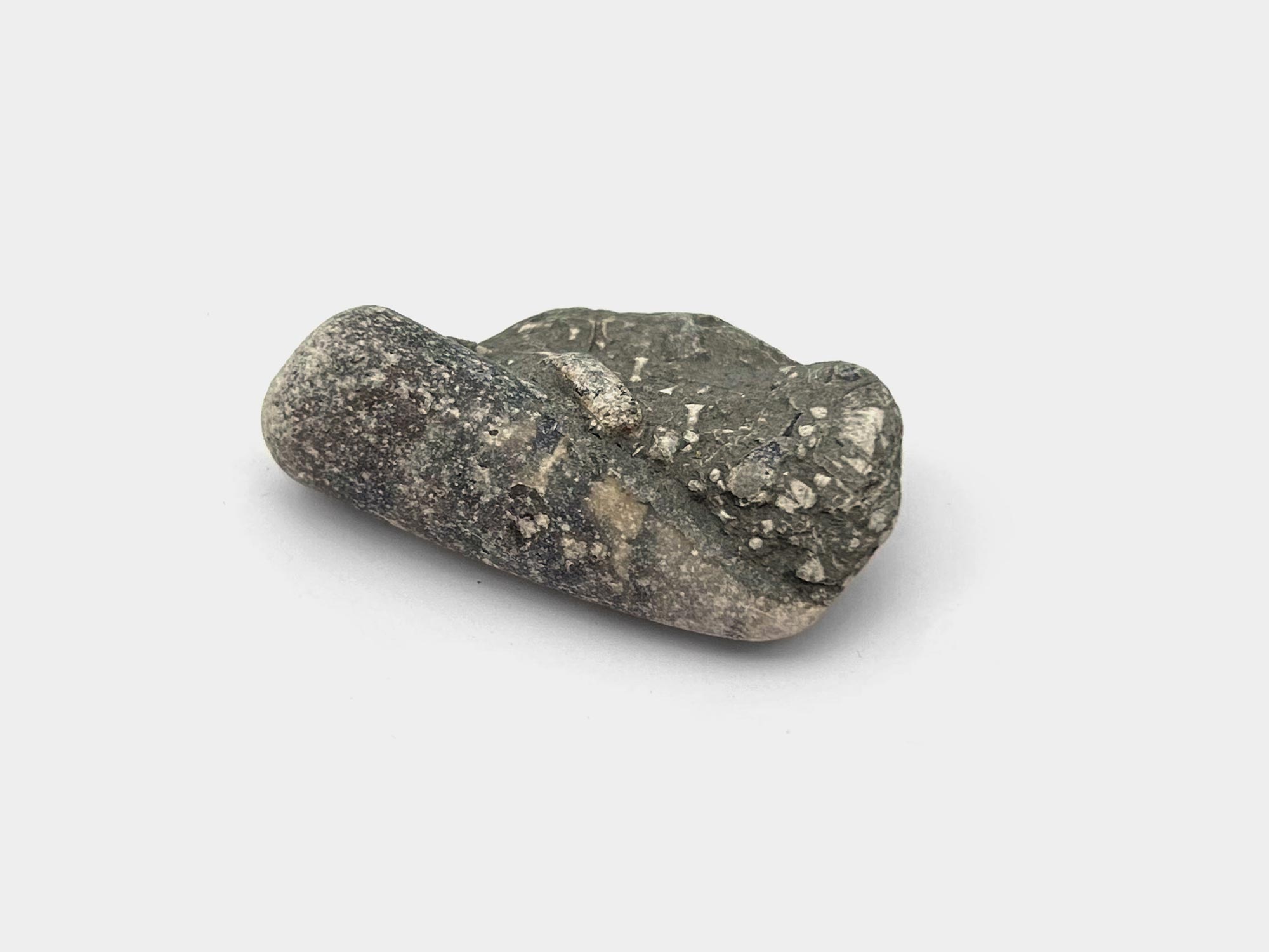 Belemnite guard end in mudstones. Found on Seatown beach, Dorset, England. August 2024